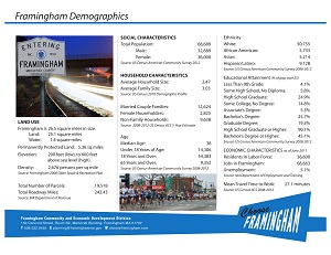image of a Fact Sheet on the demographics in Framingham