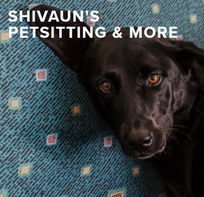 Shivanuns Petsitting and More