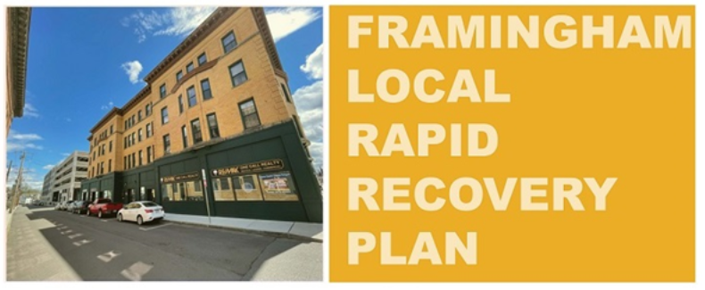 Local Rapid Recovery Plan